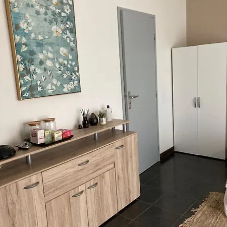 公寓 Lea Le 阿讷西